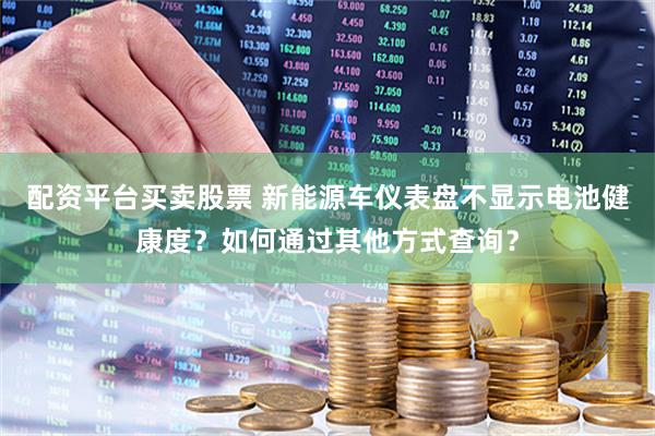 配资平台买卖股票 新能源车仪表盘不显示电池健康度？如何通过其他方式查询？