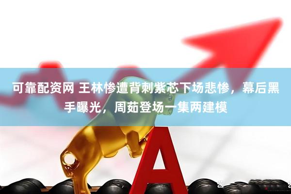 可靠配资网 王林惨遭背刺紫芯下场悲惨,幕后黑手曝光,周茹登场一集两建模